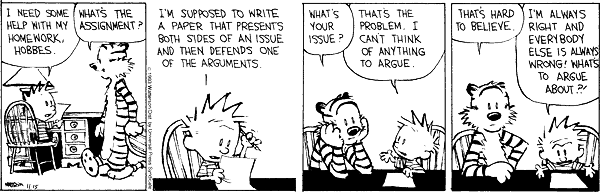 Calvin & Hobbes Cartoon